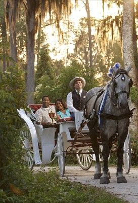 Carriage Rides at Walt Disney World